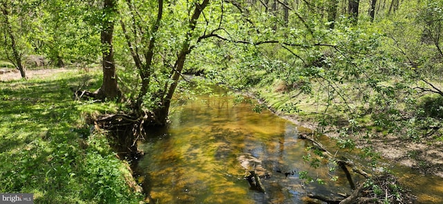 view of nature