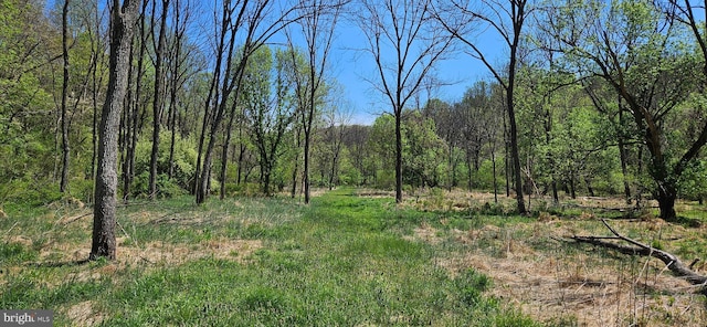 view of local wilderness with a forest view