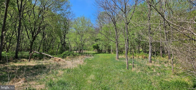 view of nature featuring a wooded view