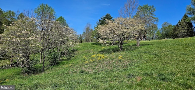 view of nature