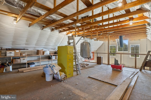 miscellaneous room with vaulted ceiling