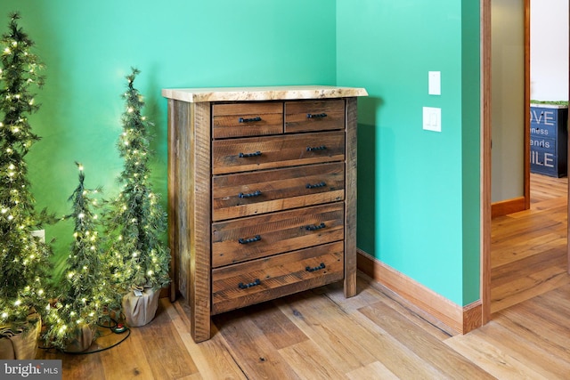 details with baseboards and wood finished floors