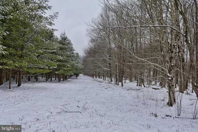 view of snowy landscape