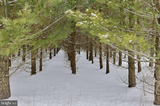 view of nature