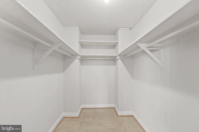 view of spacious closet