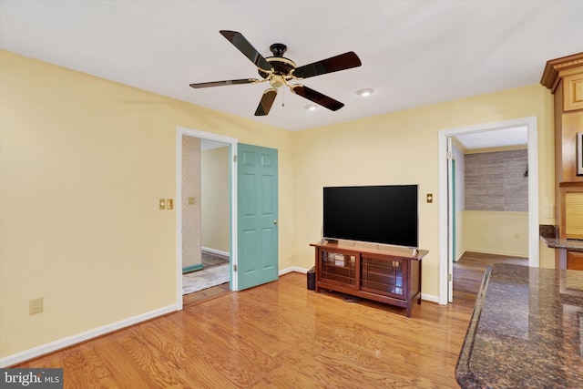 6 Deer Haven Ln, White Hall, MD 21161 - living area featuring light wood-style flooring, ceiling fan, and recessed lighting