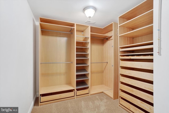 6 Deer Haven Ln, White Hall, MD 21161 - walk in closet featuring carpet flooring