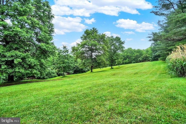 6 Deer Haven Ln, White Hall, MD 21161 - view of grassy yard