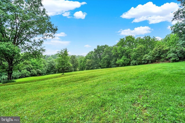 6 Deer Haven Ln, White Hall, MD 21161 - view of green lawn with a forest view