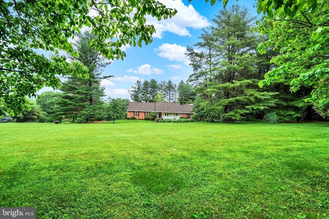 6 Deer Haven Ln, White Hall, MD 21161 - view of grassy yard