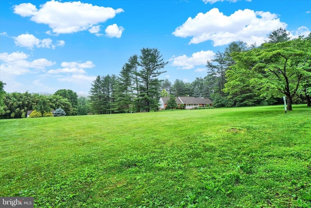 6 Deer Haven Ln, White Hall, MD 21161 - view of green lawn with a forest view