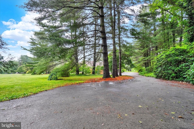 6 Deer Haven Ln, White Hall, MD 21161 - view of road