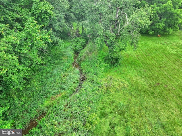 6 Deer Haven Ln, White Hall, MD 21161 - view of nature