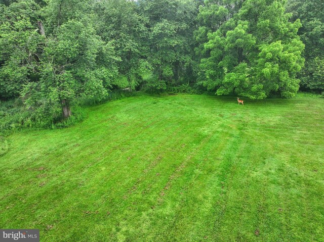 6 Deer Haven Ln, White Hall, MD 21161 - view of green lawn