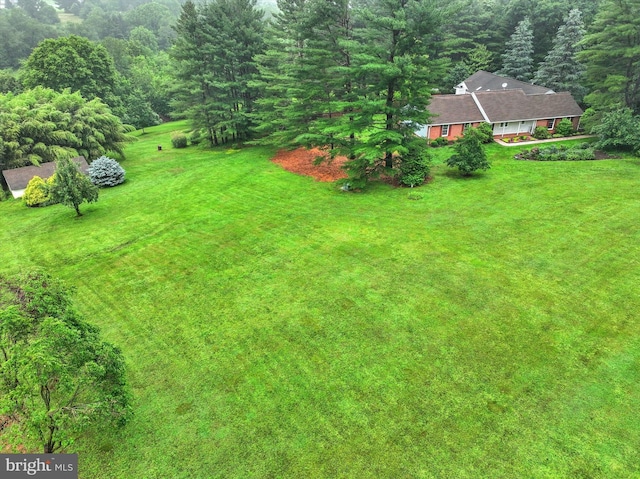 6 Deer Haven Ln, White Hall, MD 21161 - view of green lawn with a wooded view