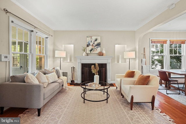 living room with ornamental molding, wood finished floors, and a fireplace