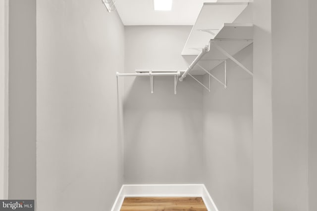 spacious closet featuring light wood-style floors