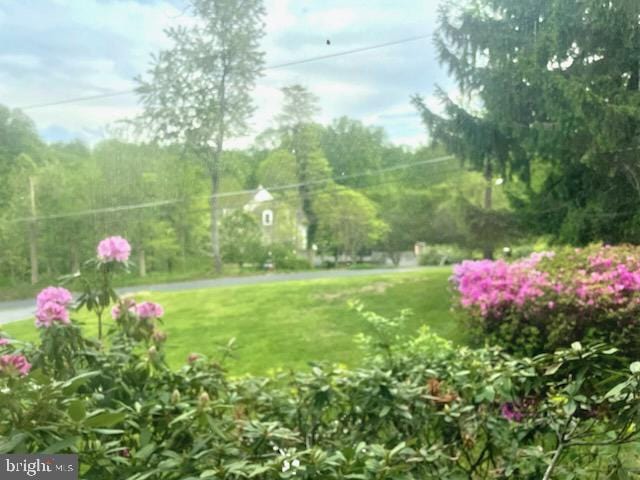 3433 Gregg Rd, Brookeville, MD 20833 - view of grassy yard