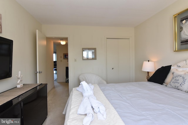 108 120th St Unit 5462, Ocean City, MD 21842 - bedroom with a closet and carpet floors