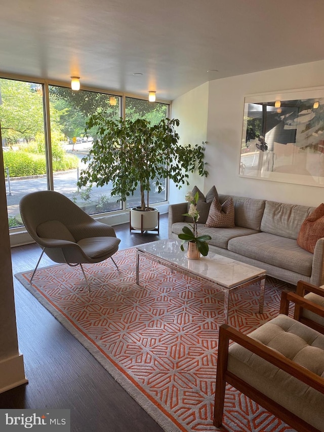 living room featuring wood finished floors and a wall of windows