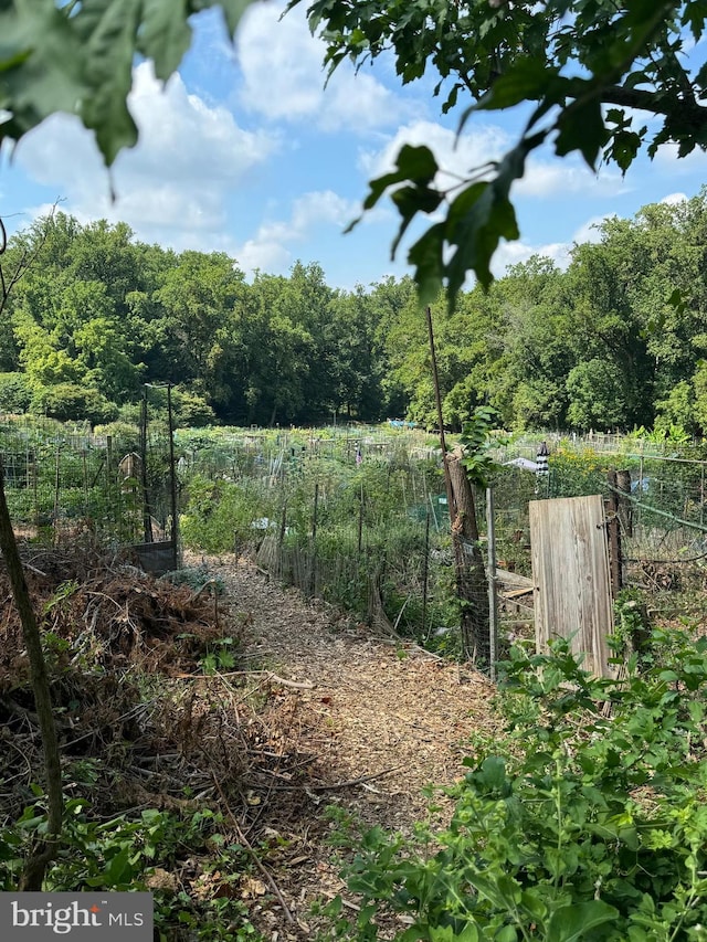 view of yard featuring a forest view and fence