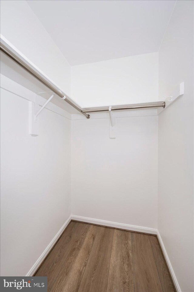 walk in closet featuring wood finished floors
