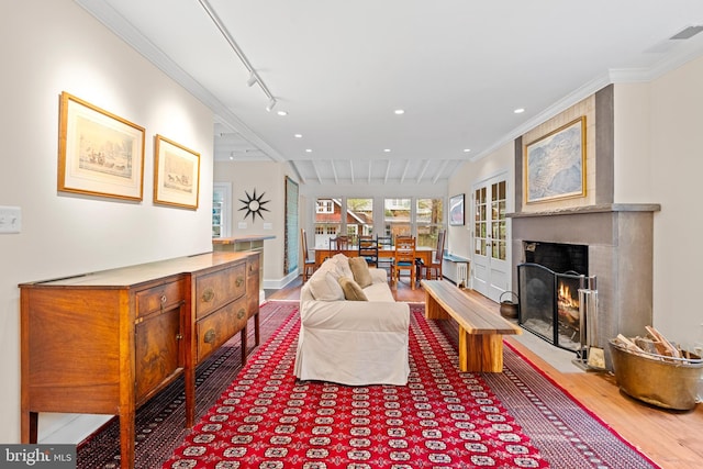 living area featuring track lighting, ornamental molding, recessed lighting, wood finished floors, and a high end fireplace