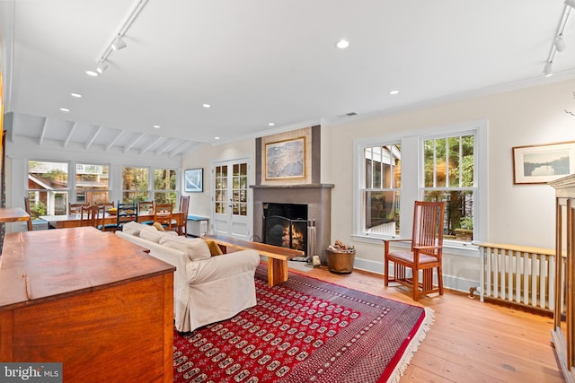 living area with light wood-type flooring, a lit fireplace, vaulted ceiling, track lighting, and recessed lighting