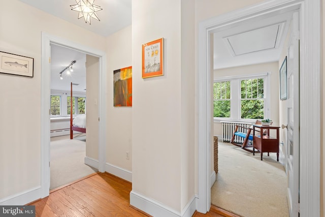 hall featuring baseboards, radiator heating unit, carpet, and baseboard heating