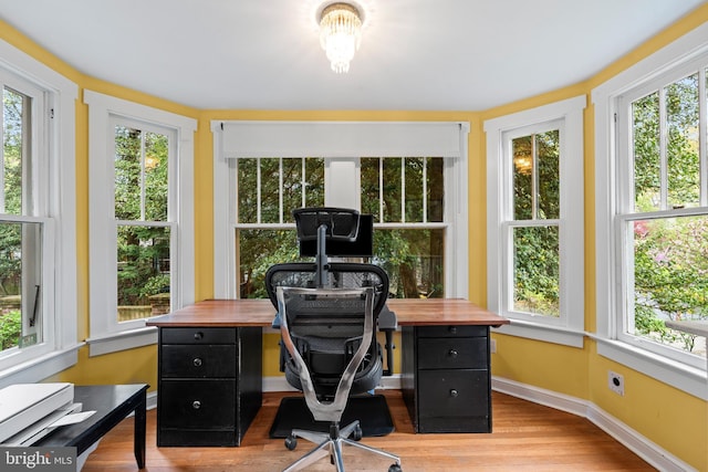 office space with baseboards and wood finished floors