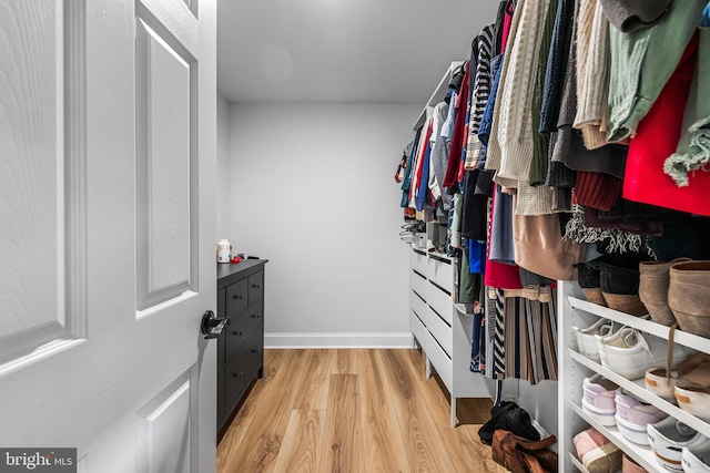 walk in closet featuring light wood-type flooring