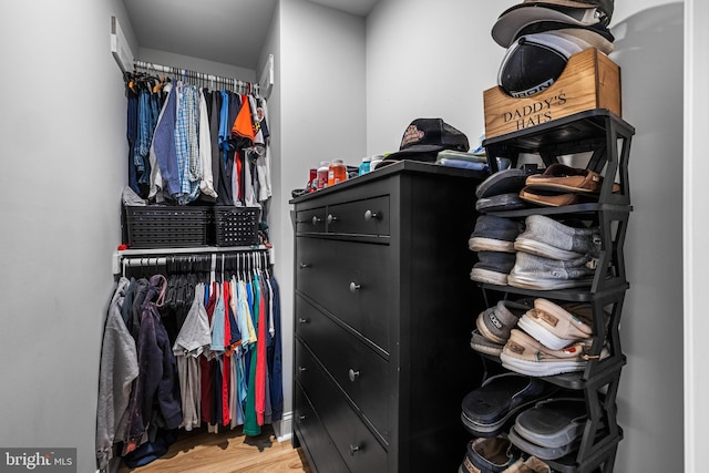 spacious closet with light wood-type flooring