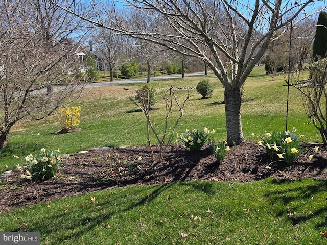 20540 Annondell Dr, Lewes, DE 19958 - view of yard