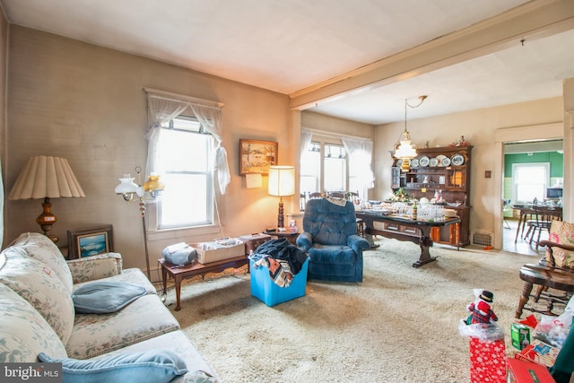 living area with carpet floors and a healthy amount of sunlight