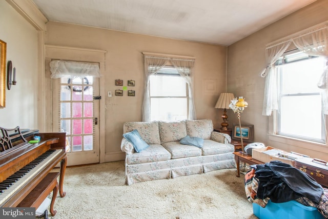 view of carpeted living area
