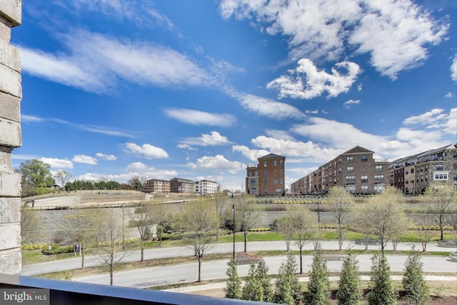 102 Saint Ives Unit 403, National Harbor, MD 20745 - city view