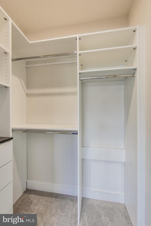 102 Saint Ives Unit 403, National Harbor, MD 20745 - walk in closet with carpet flooring