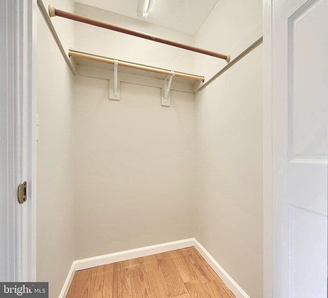 spacious closet with light wood finished floors