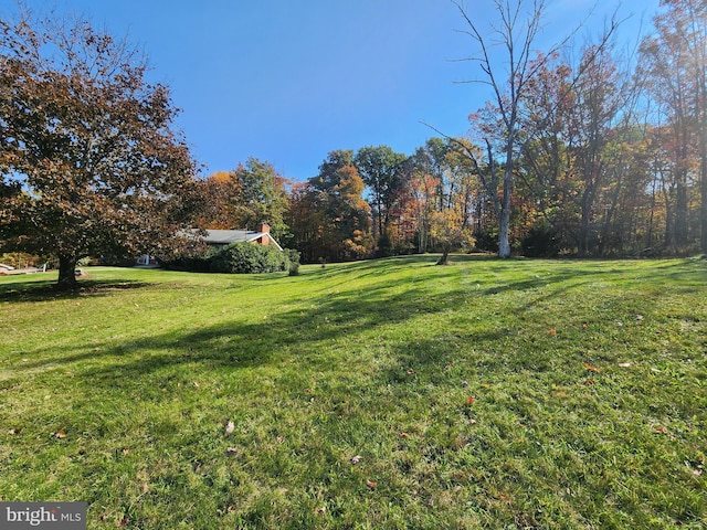 12114 Vale Smt, Frostburg, MD 21532 - view of yard