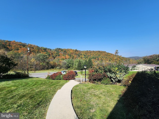 12114 Vale Smt, Frostburg, MD 21532 - view of yard with a mountain view and a view of trees