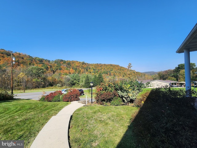 12114 Vale Smt, Frostburg, MD 21532 - view of yard with a mountain view