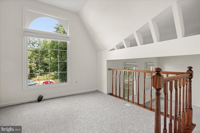 17 Alexandria Overlook Dr, Oxon Hill, MD 20745 - interior space with a wealth of natural light, baseboards, and high vaulted ceiling