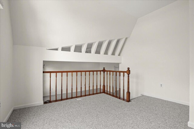 17 Alexandria Overlook Dr, Oxon Hill, MD 20745 - bonus room with carpet floors and vaulted ceiling