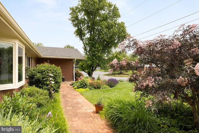 331 Ridge Ave, Winchester, VA 22601 - view of grassy yard