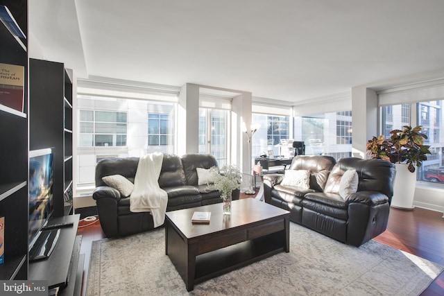 living room with wood finished floors