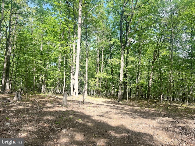 view of nature featuring a view of trees