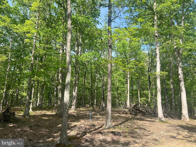 view of landscape