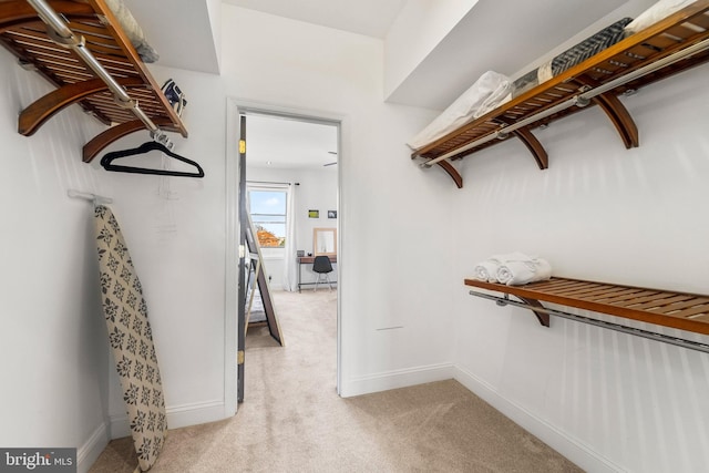 walk in closet with light carpet