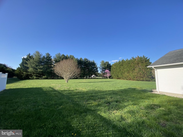 view of yard