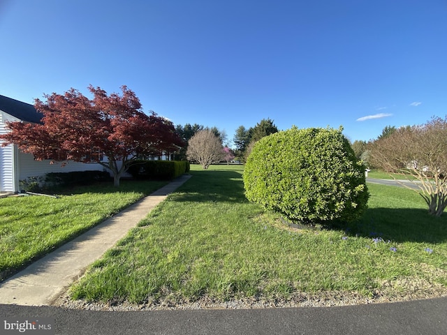 view of home's community with a yard